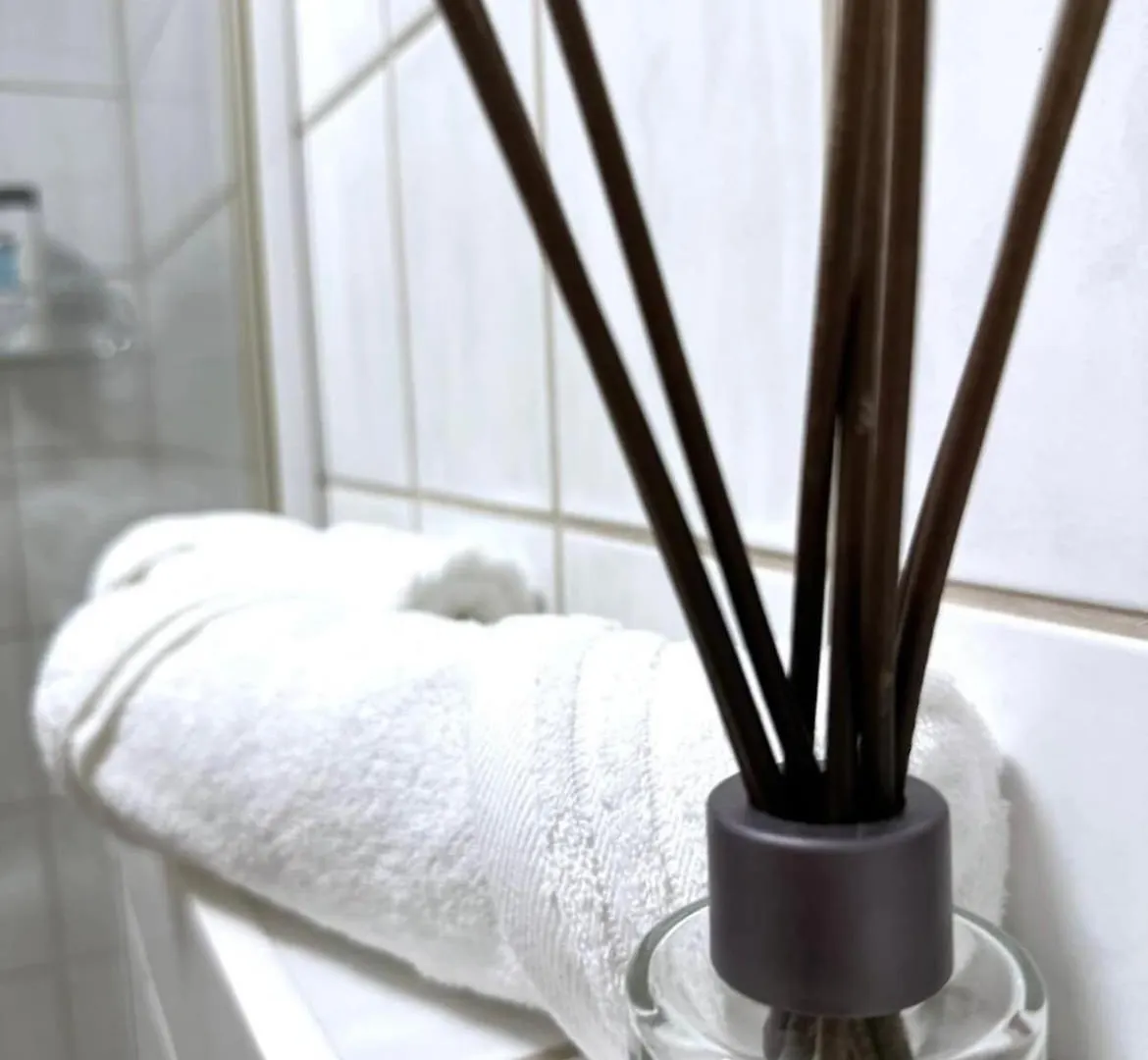 Apartment In Zwiesel Bayerischer Wald, Sauna, Pool, Wi-Fi