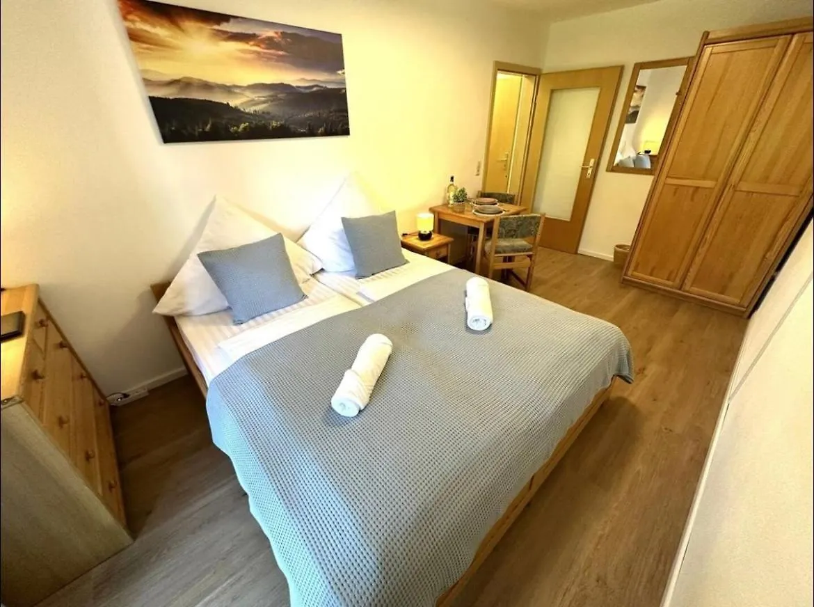 Apartment In Zwiesel Bayerischer Wald, Sauna, Pool, Wi-Fi