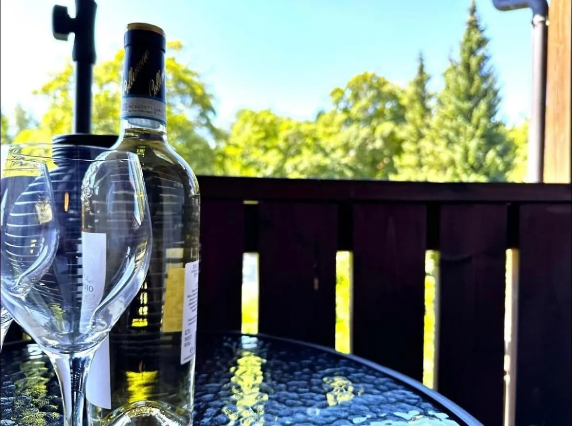 Apartment In Zwiesel Bayerischer Wald, Sauna, Pool, Wi-Fi 0*,